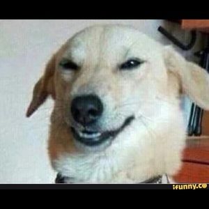 Meet your Posher, Jesse